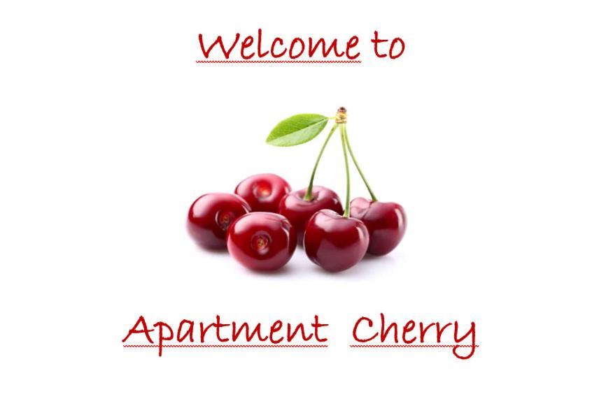 Holiday Erna - Apartments Cherry & Blue Novigrad Istria المظهر الخارجي الصورة