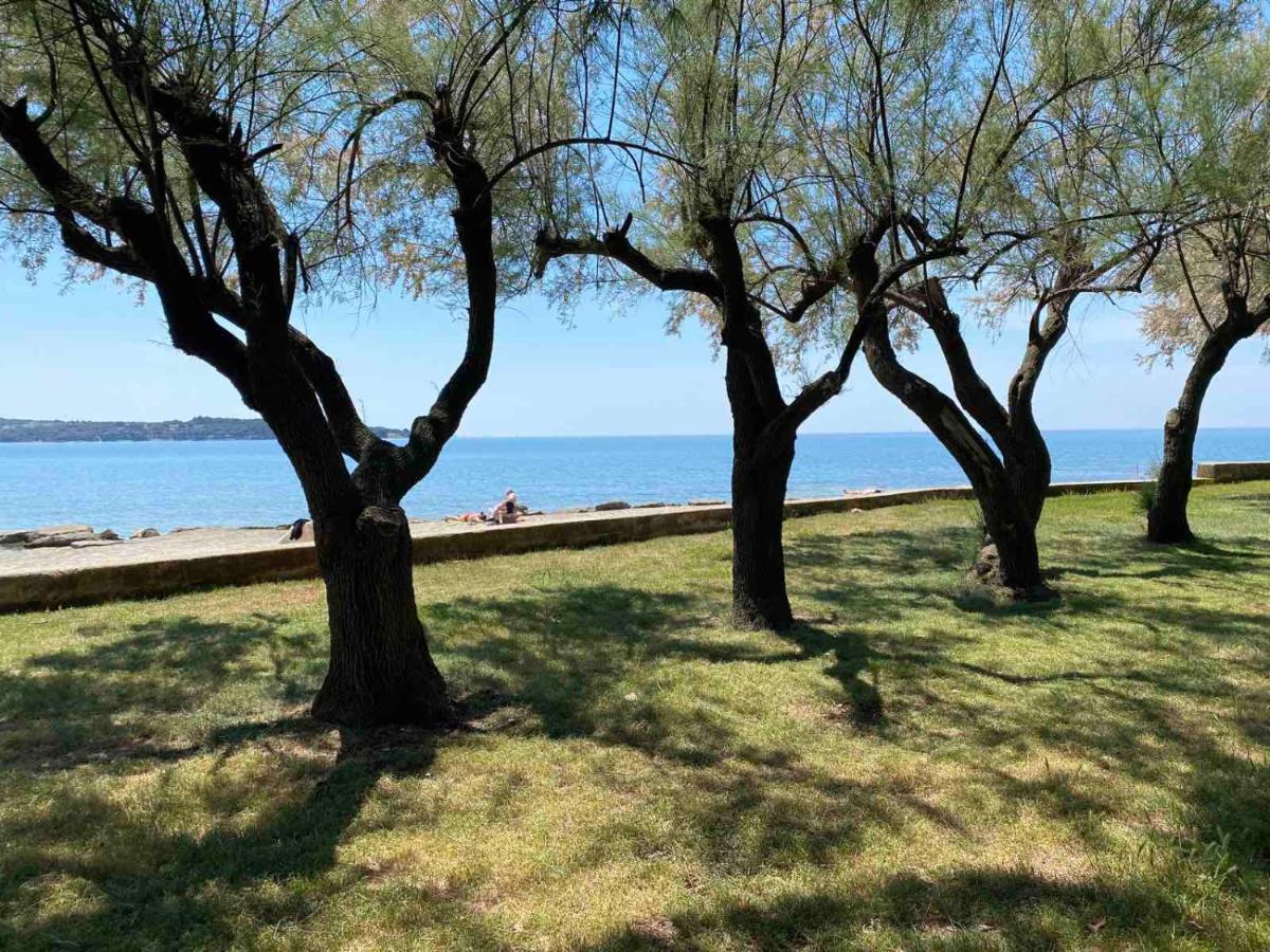 Holiday Erna - Apartments Cherry & Blue Novigrad Istria المظهر الخارجي الصورة
