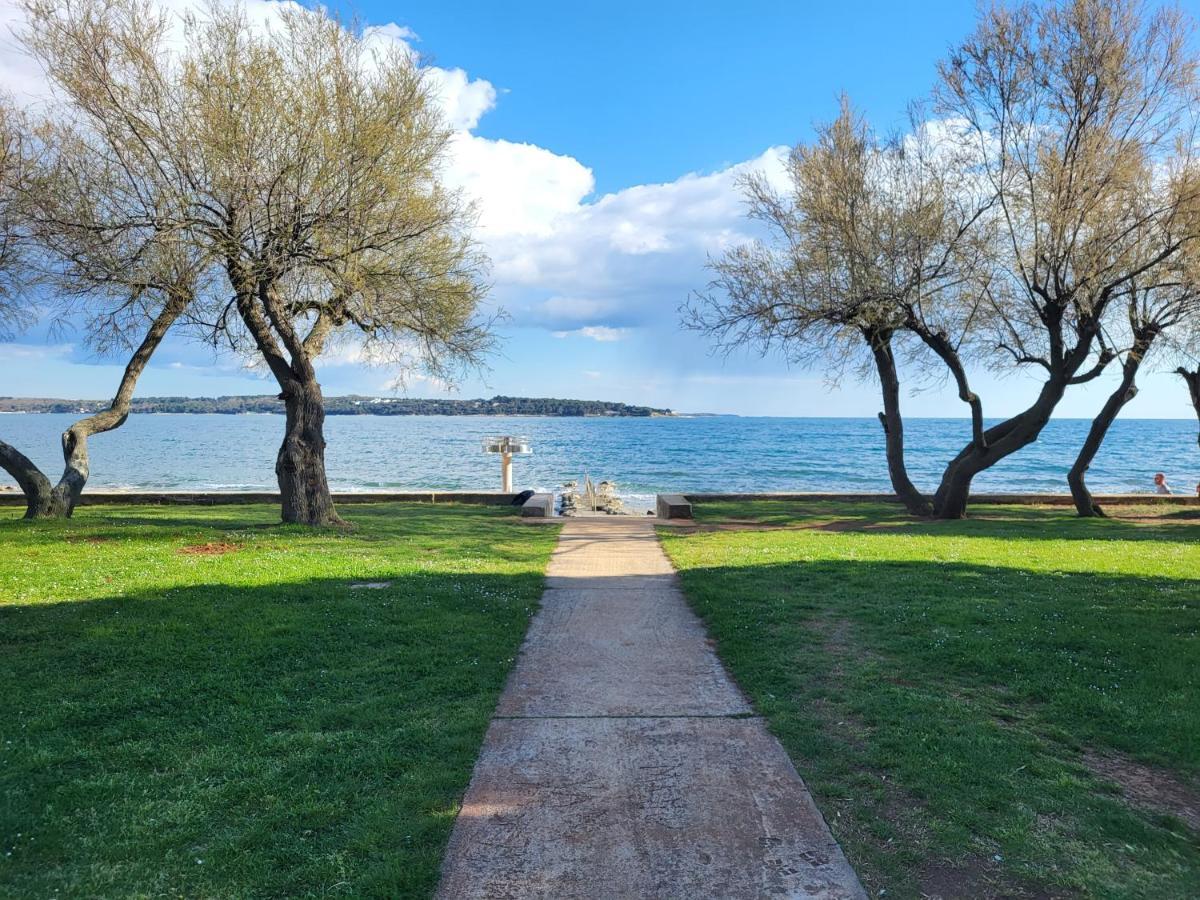 Holiday Erna - Apartments Cherry & Blue Novigrad Istria المظهر الخارجي الصورة