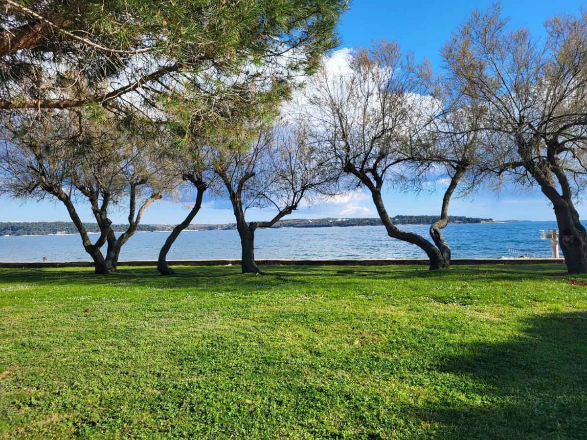 Holiday Erna - Apartments Cherry & Blue Novigrad Istria المظهر الخارجي الصورة